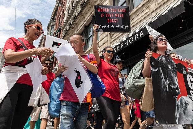 USA - March to close down all slaughterhouses, NYC June 2018