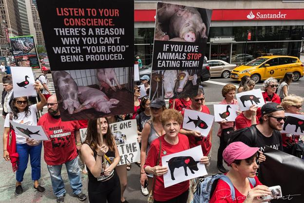 USA - March to close down all slaughterhouses, NYC June 2018