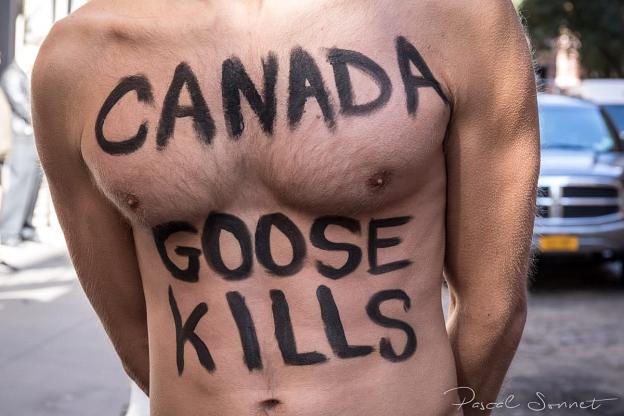 CANADA GOOSE KILLS